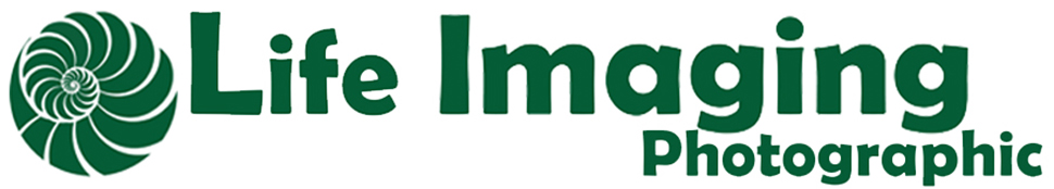 Life Imaging Photographic